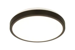 Sisustusvalaisimet^ Aneta Lighting plafondi Anillo LED valkoinen