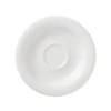 Astiat^Arabia Arctica Vati 13,5 cm