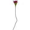 Koriste-Esineet^Bloomingville koristeoksa Lily violetti