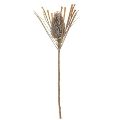 Koriste-Esineet^Bloomingville koristeoksa Palmflower ruskea