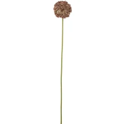 Koriste-Esineet^Bloomingville koristeoksa Allium ruskea