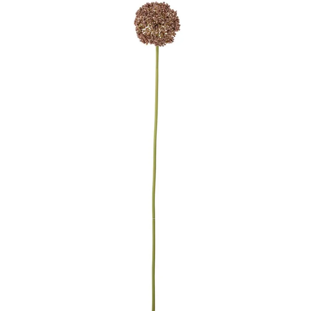 Koriste-Esineet^Bloomingville koristeoksa Allium ruskea