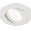 Kosteantilanvalaisimet^Briloner LED kohdistettava moduuli 5W valkoinen
