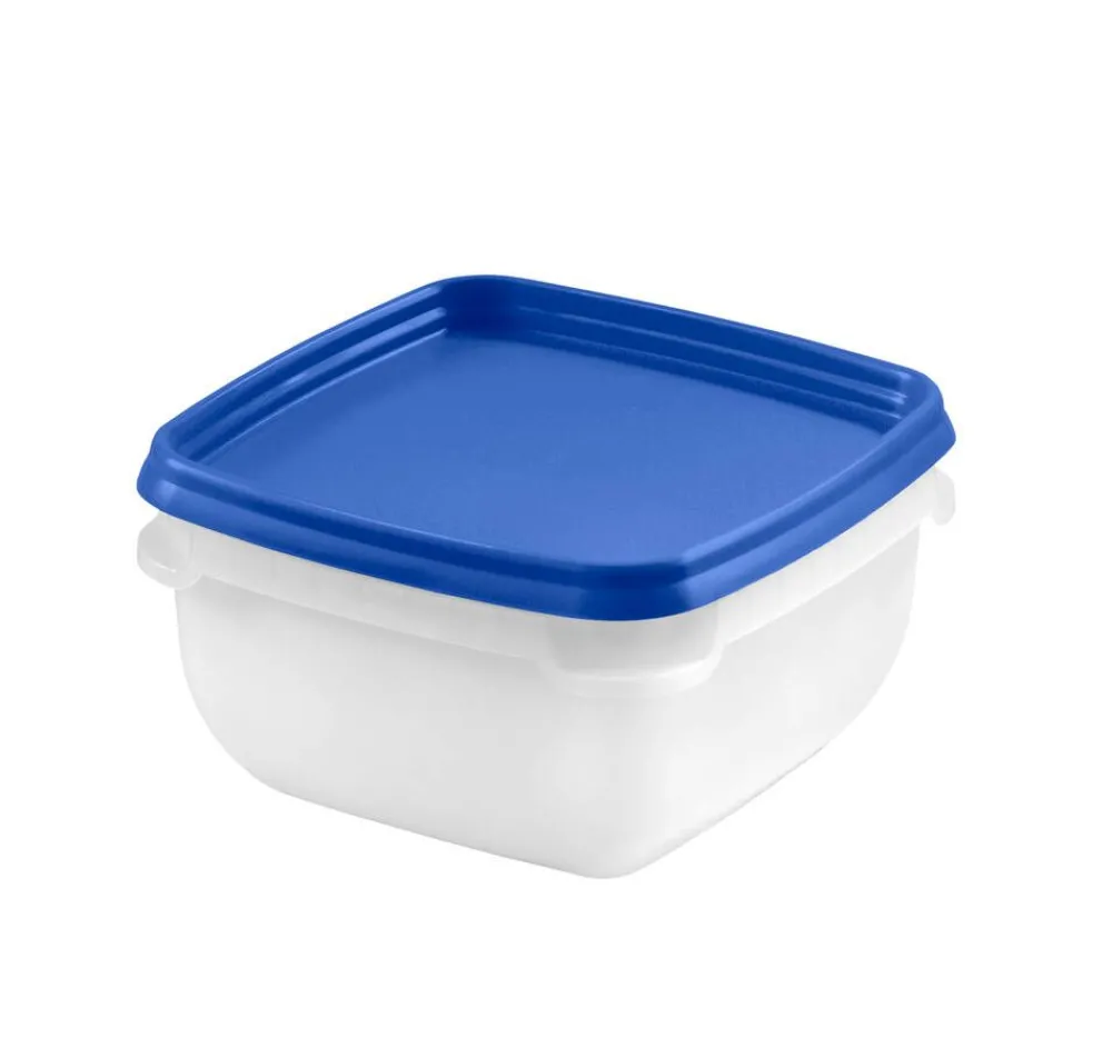 Ruoansäilytys Ja Järjestys^Gastromax pakastusrasia 5 x 0,5 L eri värejä