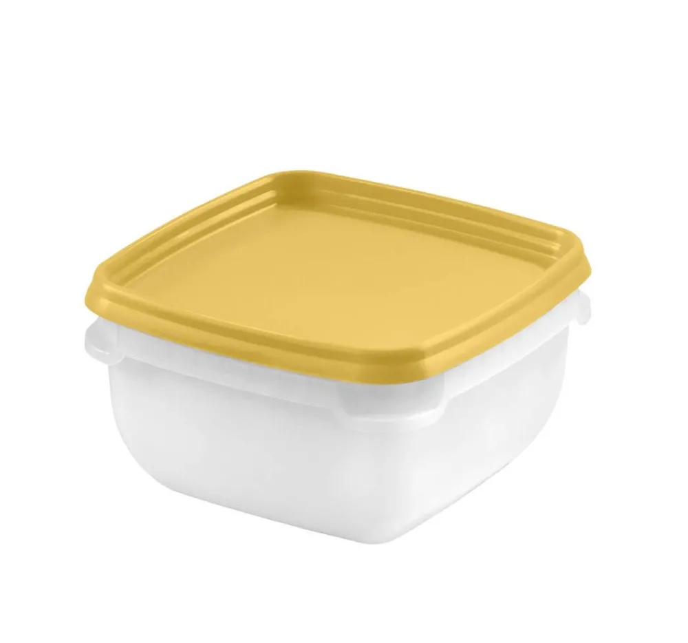 Ruoansäilytys Ja Järjestys^Gastromax pakastusrasia 5 x 0,5 L eri värejä