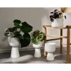 Maljakot Ja Ruukut^Iittala Kastelupullo 2 kpl
