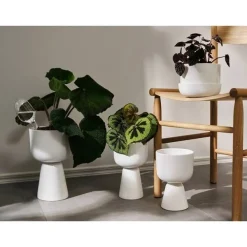 Maljakot Ja Ruukut^Iittala Kastelupullo 2 kpl