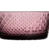 Astiat^Iittala Tundra kulho 25 cl kanerva