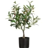 Koriste-Esineet^4Living oliivipuu ruukussa 60 cm