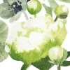 Kertakäyttö^Pentik servietti 33 cm Freesia vihreä