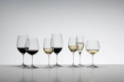 Astiat^Riedel Vinum Syrah/Shiraz viinilasi 2kpl