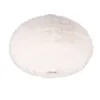 Sisustusvalaisimet^Trio Lighting kattovalaisin Furry 2xE27 hiekanvalkoinen