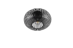 Sisustusvalaisimet^Trio Lighting kattovalaisin Johann 30 cm E27 mattamusta