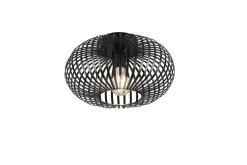 Sisustusvalaisimet^Trio Lighting kattovalaisin Johann 30 cm E27 mattamusta