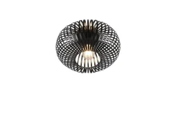 Sisustusvalaisimet^Trio Lighting kattovalaisin Johann 30 cm E27 mattamusta