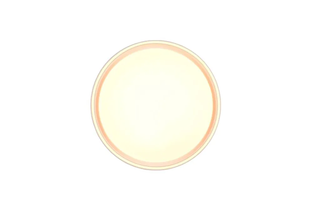 Sisustusvalaisimet^Trio Lighting LED kattovalaisin Felis 40 cm mattavalkoinen