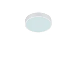 Sisustusvalaisimet^Trio Lighting LED kattovalaisin Waco 30 cm mattavalkoinen
