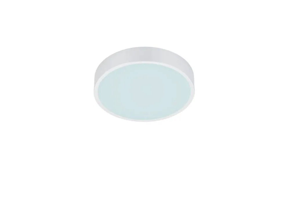 Sisustusvalaisimet^Trio Lighting LED kattovalaisin Waco 30 cm mattavalkoinen
