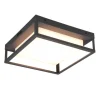 Ulkovalaisimet^Trio Lighting LED kattovalaisin Witham antrasiitti