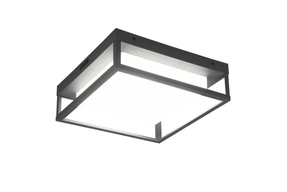 Ulkovalaisimet^Trio Lighting LED kattovalaisin Witham antrasiitti