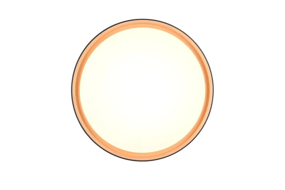 Sisustusvalaisimet^Trio Lighting LED kattovalaisin Felis 40 cm musta/kulta