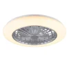 Sisustusvalaisimet^Trio Lighting LED tuuletinkattovalaisin Stralsund harmaa sta
