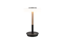 Sisustusvalaisimet^Trio Lighting pöytävalaisin Celeste LED mattamusta/valkoinen