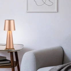 Sisustusvalaisimet^Trio Lighting pöytävalaisin Nubian E27 kahvinruskea