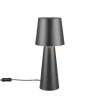 Sisustusvalaisimet^Trio Lighting pöytävalaisin Nubian E27 mattamusta