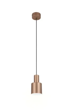 Sisustusvalaisimet^Trio Lighting riippuvalaisin Agudo 1-os E27 kahvinruskea