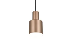 Sisustusvalaisimet^Trio Lighting riippuvalaisin Agudo 1-os E27 kahvinruskea