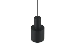 Sisustusvalaisimet^Trio Lighting riippuvalaisin Agudo 1-os E27 mattamusta