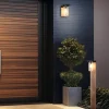 Ulkovalaisimet^Trio Lighting seinävalaisin Ardila E27 puu/mattamusta hämärä