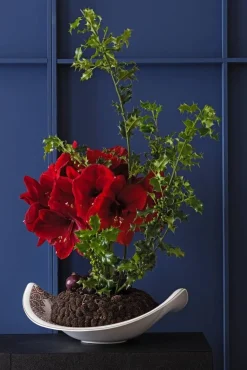 Astiat^Villeroy&Boch Amazonia Kulho 47x38cm