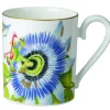 Astiat^Villeroy&Boch Amazonia Muki 0,30l