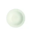 Astiat^Villeroy&Boch Royal Lautanen 20cm