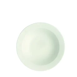 Astiat^Villeroy&Boch Royal Lautanen 20cm
